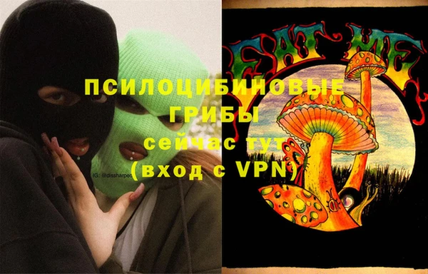 соль ск Зерноград