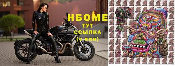 соль ск Зерноград