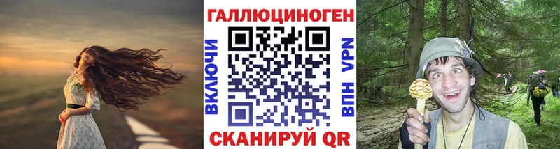 Псилоцибиновые грибы Psilocybe  Купить  Кизилюрт 