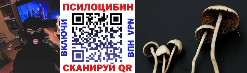 Галлюциногенные грибы Psilocybe Кизилюрт
